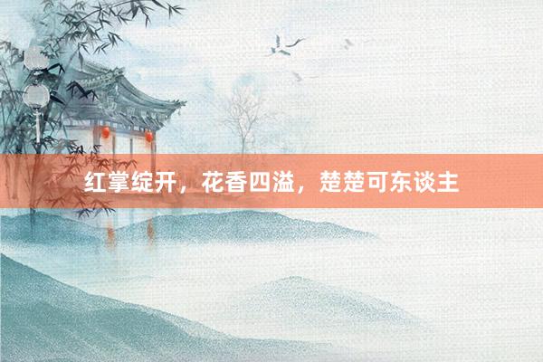 红掌绽开，花香四溢，楚楚可东谈主