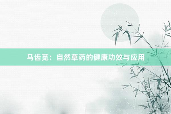 马齿苋：自然草药的健康功效与应用