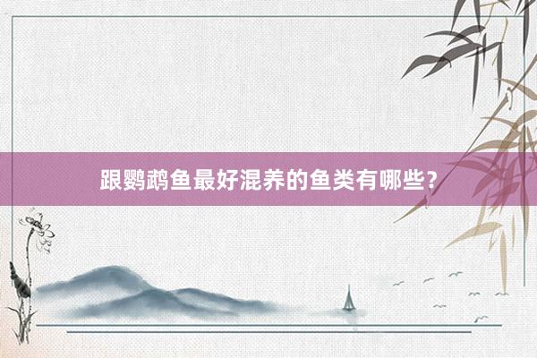 跟鹦鹉鱼最好混养的鱼类有哪些？